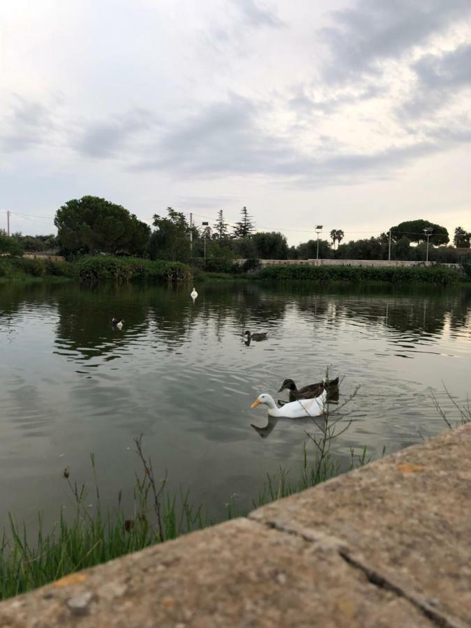 Cupersanum B&B Conversano Bagian luar foto